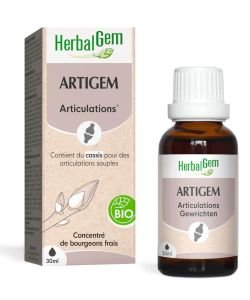 Artigem - Articulations